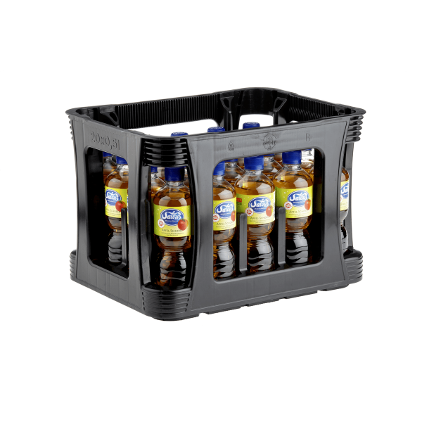 Salvus Apfelschorle 20x0,50l PET