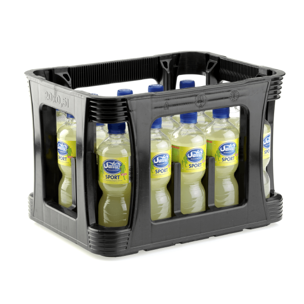 Salvus Sport 20x0,50l PET