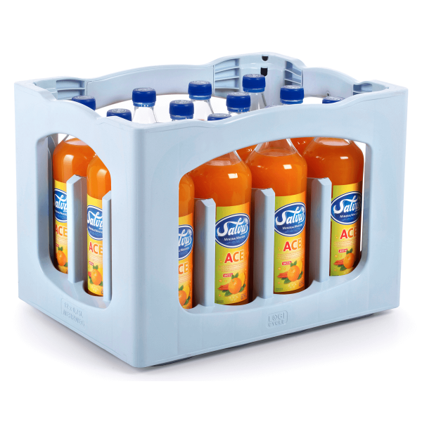 Salvus ACE 12x0,75l