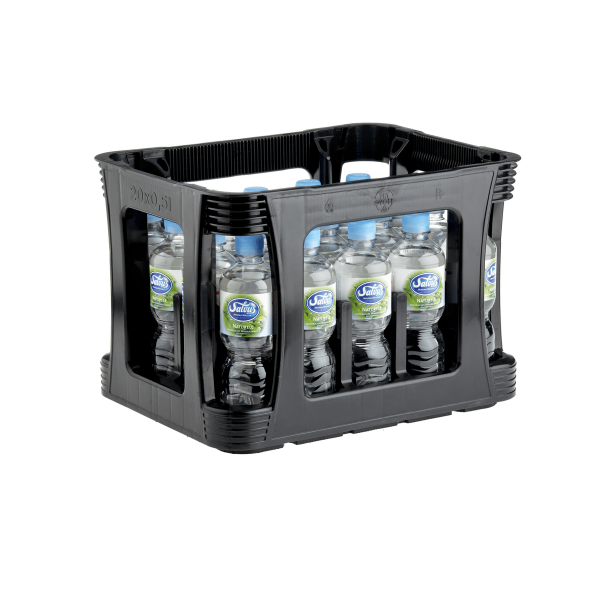 Salvus naturell PET 20x0,50l