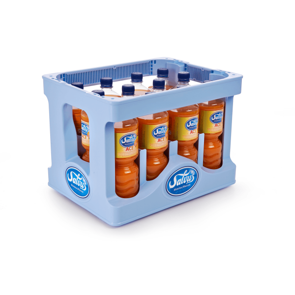 Salvus ACE 12x1,00l PET