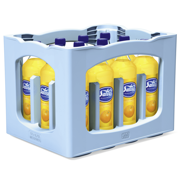 Salvus Orange 12x0,75l
